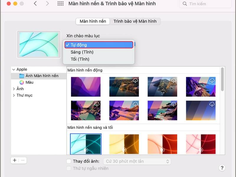 Cách đổi hình nền Macbook tự động