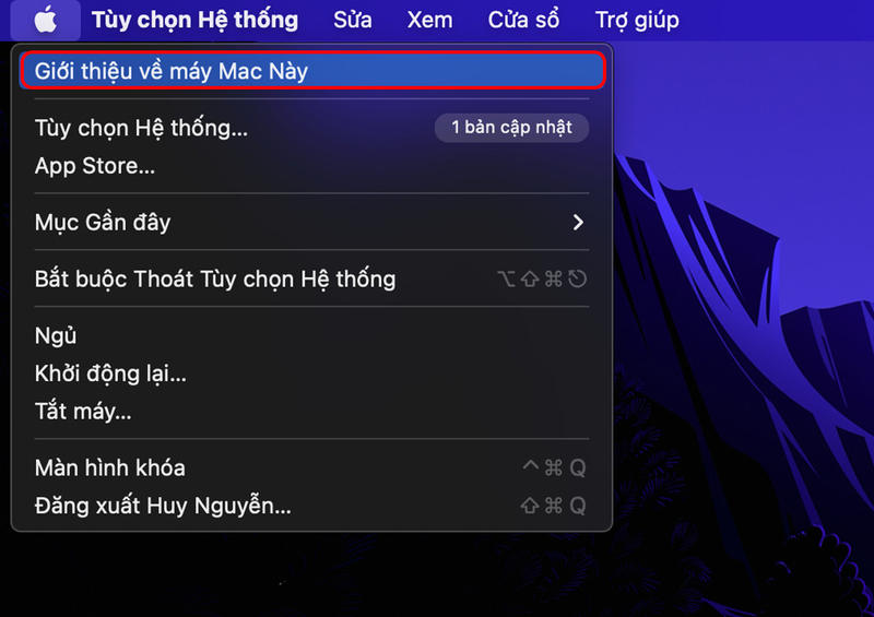 Hướng dẫn bạn cách kiểm tra model máy