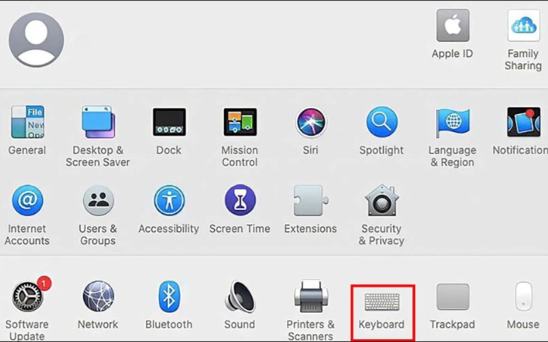 Hướng dẫn trên macOS Monterey trở xuống